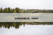 文昌网站定制公司，文昌设计