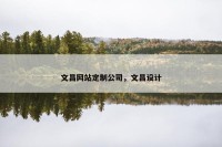 文昌网站定制公司，文昌设计