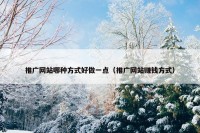 推广网站哪种方式好做一点（推广网站赚钱方式）