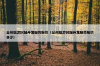 台州旅游网站开发服务报价（台州旅游网站开发服务报价多少）