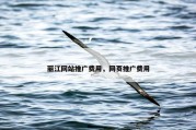 丽江网站推广费用，网页推广费用