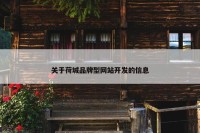 关于荷城品牌型网站开发的信息
