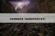 共享椅网站开发（有创意的共享椅子名字）