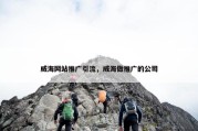 威海网站推广引流，威海做推广的公司