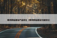 泰州网站建设产品优化（泰州网站建设方案优化）