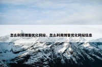 怎么利用博客优化网站，怎么利用博客优化网站信息