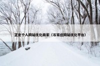 正定个人网站优化商家（石家庄网站优化平台）