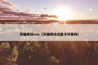 天猫移动seo（天猫移动流量卡可靠吗）