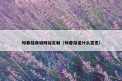 知春路商城网站定制（知春路是什么意思）