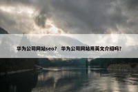 华为公司网站seo？ 华为公司网站用英文介绍吗？