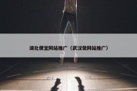 湖北便宜网站推广（武汉做网站推广）