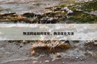 物流网站如何优化，物流优化方法