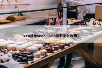 seo接单seoc（seo兼职怎么收费）
