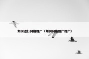 如何进行网络推广（如何网络推广推广）