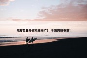 粤海专业外贸网站推广？ 粤海跨境电商？
