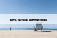 网站有小优化有用吗（网站做优化有用吗）
