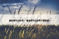重庆燃气公众号？ 重庆燃气公众号下载安装？