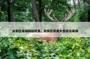 长安区商城网站开发，长安区新建大型综合商场