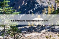 有名做网站公司（国内做网站最好的公司）