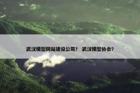 武汉模型网站建设公司？ 武汉模型协会？