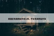 西夏区电商网站开发公司，平台电商网站开发