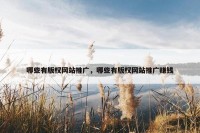 哪些有版权网站推广，哪些有版权网站推广赚钱