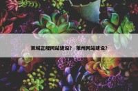 莱城正规网站建设？ 莱州网站建设？