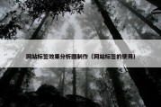 网站标签效果分析图制作（网站标签的使用）