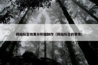 网站标签效果分析图制作（网站标签的使用）