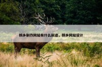 桐乡制作网站有什么前途，桐乡网站设计