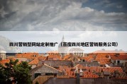四川营销型网站定制推广（百度四川地区营销服务公司）