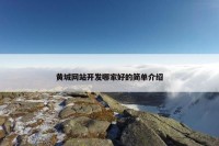黄城网站开发哪家好的简单介绍