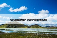安阳品牌网站推广（安阳广告公司排行榜）