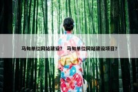 马甸单位网站建设？ 马甸单位网站建设项目？