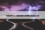 东莞谷歌seo（东莞谷歌科技有限公司招普工吗）