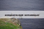 南京网站定制开发公司招聘（南京专业做网站公司）