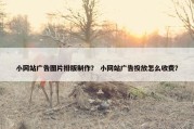 小网站广告图片排版制作？ 小网站广告投放怎么收费？