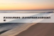 武汉云优化网站建设（武汉市加快推进武汉云建设实施方案）