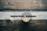 莘县网站开发公司？ 莘县网站建设？