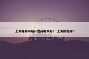 上海电商网站开发商哪家好？ 上海的电商？