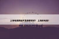 上海电商网站开发商哪家好？ 上海的电商？