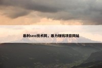 暴利seo技术网，暴力赚钱项目网站