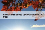 芜湖网站开发特点分析工具，芜湖网站开发特点分析工具有哪些