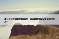 丰台区特定网站定制调试？ 丰台区特定网站定制调试中心？