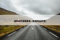 成网站开发哪里有（免费网站开发）