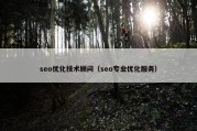 seo优化技术顾问（seo专业优化服务）
