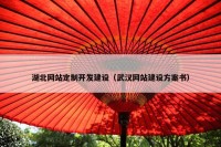 湖北网站定制开发建设（武汉网站建设方案书）