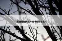 安徽商城网站开发（安徽商家）