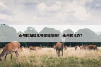 永州网站优化哪家值信赖？ 永州优化办？