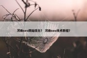 河南seo网站优化？ 河南seo技术教程？